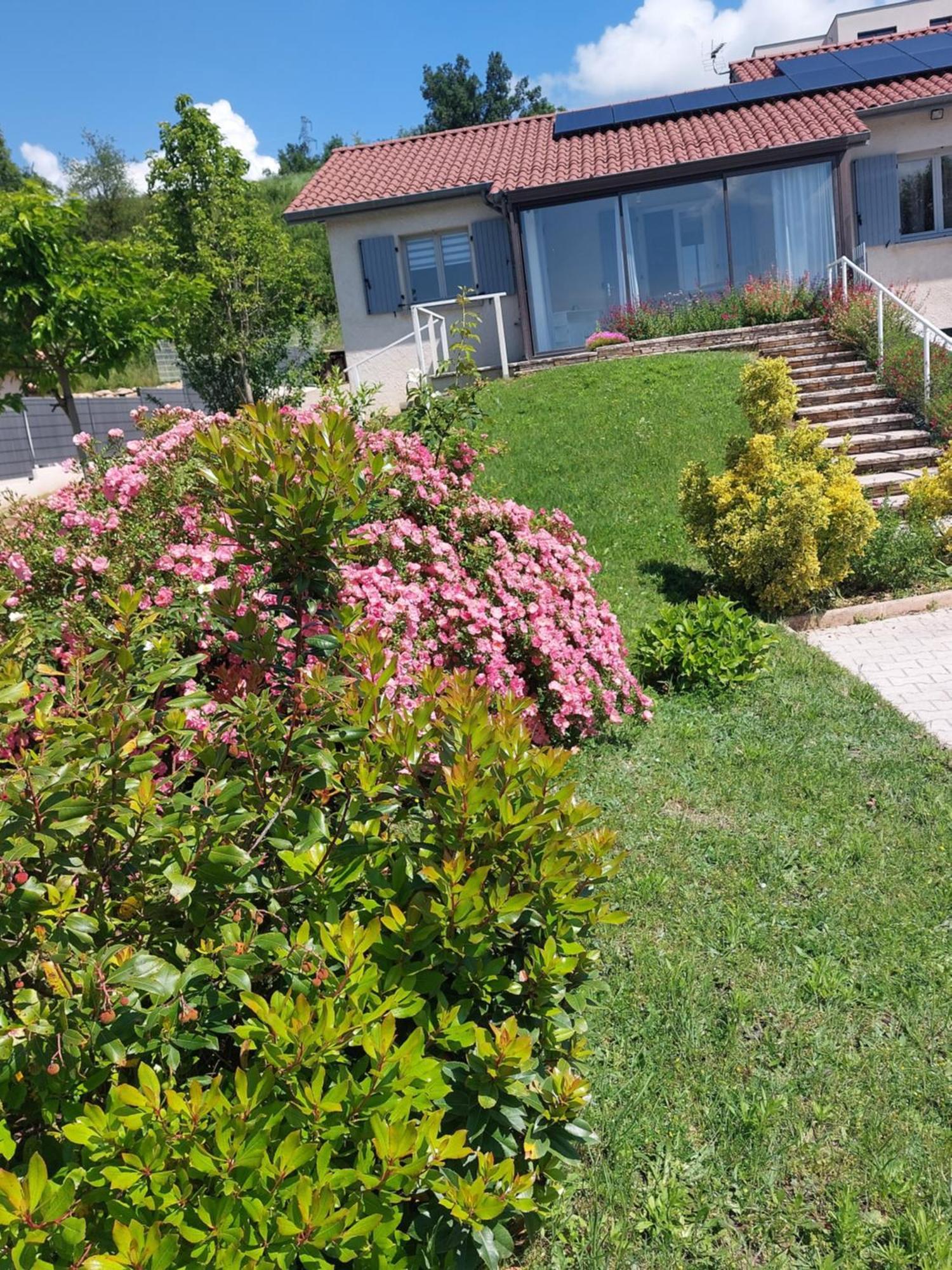 Gite des Reguinelles Saint-Lattier Esterno foto